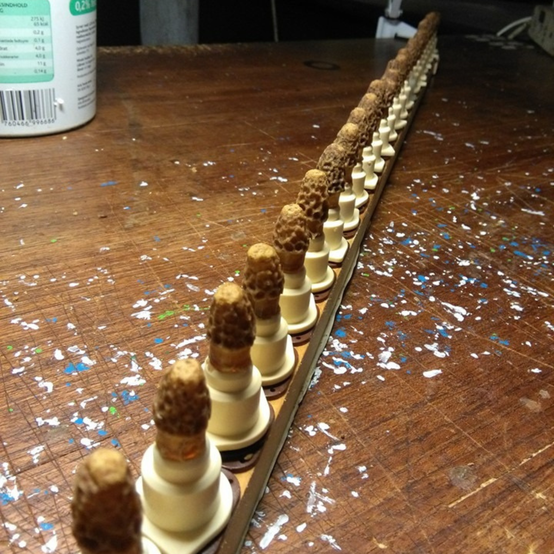 Celdas Reales Buckfast - Imagen 2