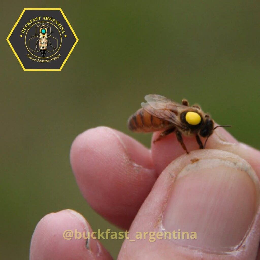 FB_IMG_1737242630618