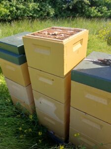 Messenger_creation_A737B453-0791-40CE-B90F-24BCD88A2B88