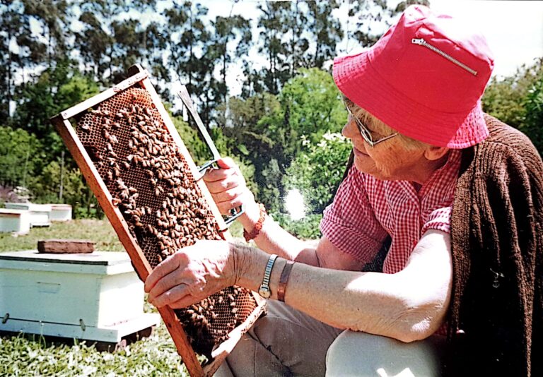 fotomadrederoberto (1)