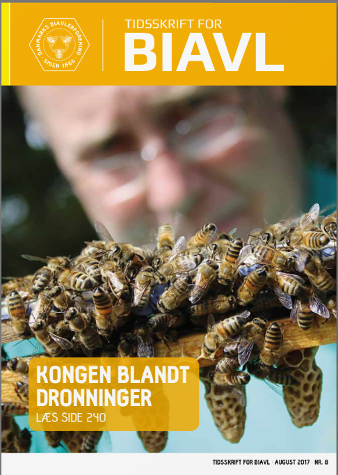 Captura de pantalla 2025-10-07 171610