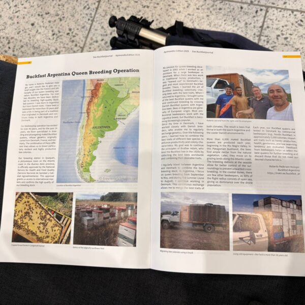 WhatsApp Image 2025-09-28 at 08.13.54