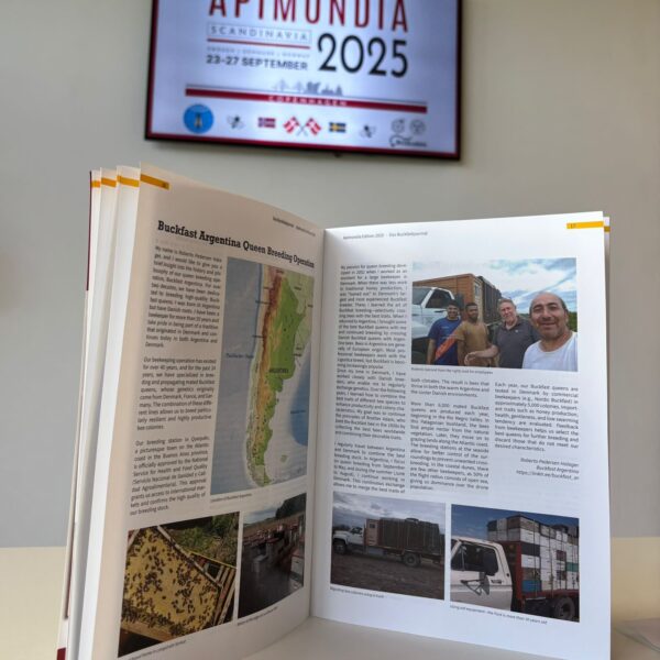 WhatsApp Image 2025-09-28 at 08.13.58